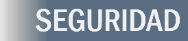 SEGURIDAD