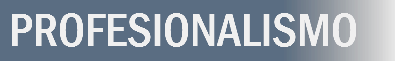 PROFESIONALISMO
